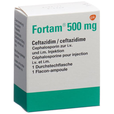 FORTAM Trockensub 500 mg Durchstf